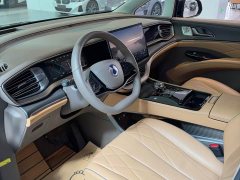 Denza D9 DM-i 970 AWD Flagship - ფოტო 7