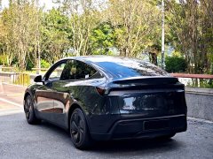 Tesla Model Y Rear-Wheel Drive - ფოტო 7