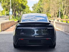 Tesla Model Y Rear-Wheel Drive - ფოტო 8