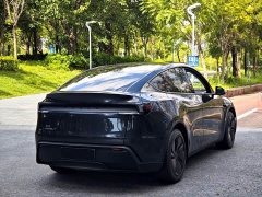 Tesla Model Y Rear-Wheel Drive - ფოტო 9
