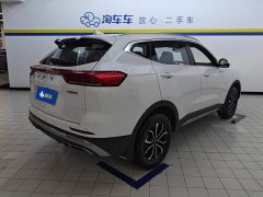 Haval H6 National Trend Edition 1.5T Automatic Urban Version - ფოტო 3