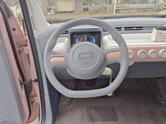 FAW Besturn Xiaoma 222km Dynamic Edition - ფოტო 11