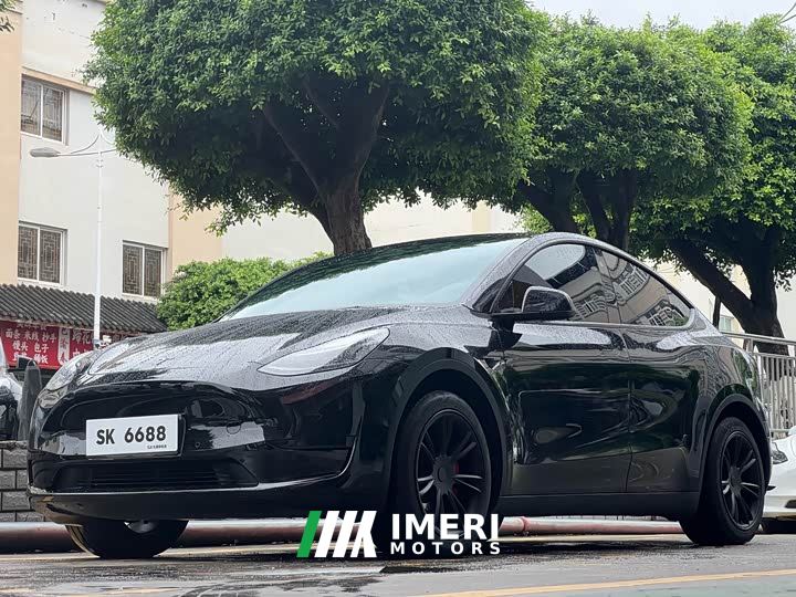 Tesla Model Y Rear-Wheel Drive