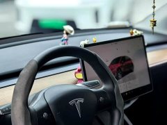 Tesla Model Y Rear-Wheel Drive - ფოტო 2