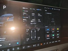 Li Auto L9 Max - ფოტო 8
