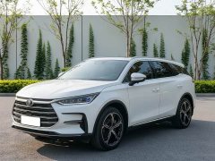 BYD Tang New Energy DM-i 112KM Premium Edition - photo 1