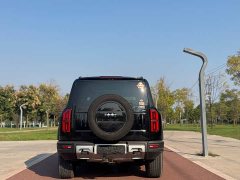 Fangchengbao Leopard 5 Navigator Edition - ფოტო 8