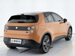 Nio firefly Edition 42.1kWh - ფოტო 15