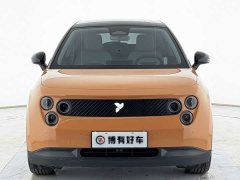 Nio firefly Edition 42.1kWh - ფოტო 2