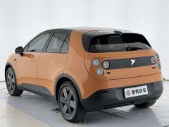 Nio firefly Edition 42.1kWh - ფოტო 5