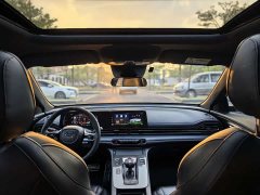 Trumpchi Leopard 270T DCT J15 - ფოტო 8