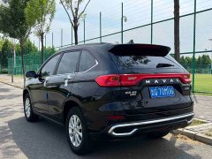 Haval M6 PLUS 1.5T DCT Luxury Smart Connected Edition - photo 4