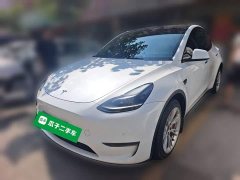 Tesla Model Y Long Range All-Wheel Drive - ფოტო 1