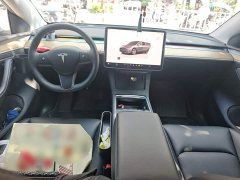 Tesla Model Y Long Range All-Wheel Drive - ფოტო 10