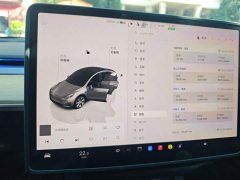 Tesla Model Y Long Range All-Wheel Drive - ფოტო 12
