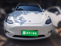 Tesla Model Y Long Range All-Wheel Drive - ფოტო 2