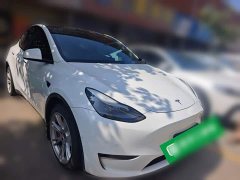 Tesla Model Y Long Range All-Wheel Drive - ფოტო 3