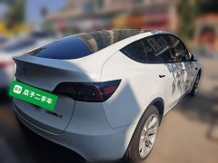 Tesla Model Y Long Range All-Wheel Drive - ფოტო 6