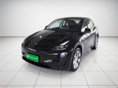 Tesla Model Y Facelift Rear-Wheel Drive - ფოტო 1