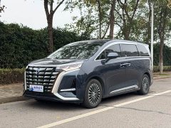 Denza D9 DM-i 980 Four-Wheel Drive Premium - ფოტო 1
