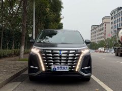 Denza D9 DM-i 980 Four-Wheel Drive Premium - ფოტო 2