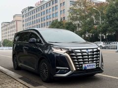 Denza D9 DM-i 980 Four-Wheel Drive Premium - ფოტო 3