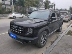 Great Wall Dachshund 2.0T DCT Two-Wheel Drive Chinese Hunting Dog Edition - photo 1