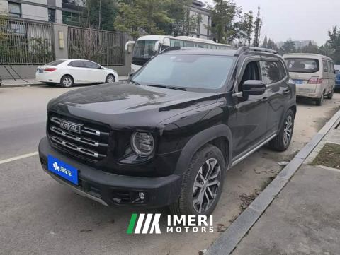 2023 Great Wall Dachshund 2.0T DCT Two-Wheel Drive Chinese Hunting Dog Edition