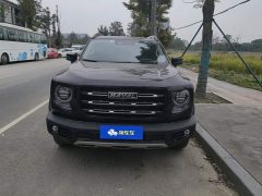 Great Wall Dachshund 2.0T DCT Two-Wheel Drive Chinese Hunting Dog Edition - photo 2