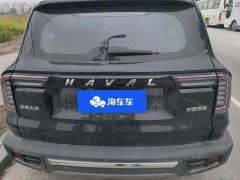 Great Wall Dachshund 2.0T DCT Two-Wheel Drive Chinese Hunting Dog Edition - photo 4