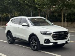 Haval H6 National Trend Edition 1.5T Automatic Urban Version - ფოტო 3