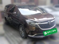 Buick GL8 ES LuZun 653T Respect Edition - ფოტო 3