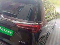 Buick GL8 ES LuZun 653T Respect Edition - ფოტო 6