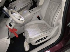 Stelato Enjoy S9 Pure Electric Max Rear-Wheel Drive Long-Range Edition - ფოტო 16