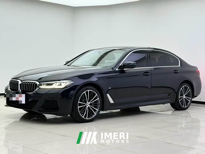 BMW 5 Series 530Li Premier M Sport Package - car from China