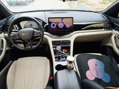 BYD Song Plus New Energy Glory Edition EV 520km Deluxe - ფოტო 10