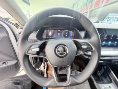 Skoda Octavia Facelift PRO TSI280 Premium Edition - ფოტო 11