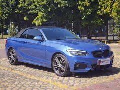 BMW 2 Series (Imported) 225i Convertible Coupe Luxury M Sport Package - фото 4
