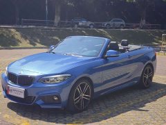 BMW 2 Series (Imported) 225i Convertible Coupe Luxury M Sport Package - фото 9