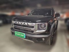 Great Wall Dachshund 1.5T DCT Border Collie Edition - ფოტო 1