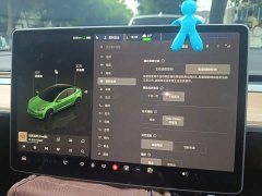 Tesla Model 3 Rear-Wheel Drive - ფოტო 20