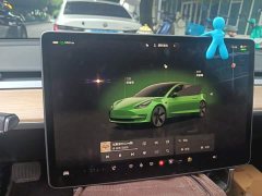Tesla Model 3 Rear-Wheel Drive - ფოტო 7