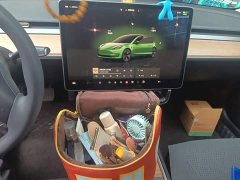 Tesla Model 3 Rear-Wheel Drive - ფოტო 9