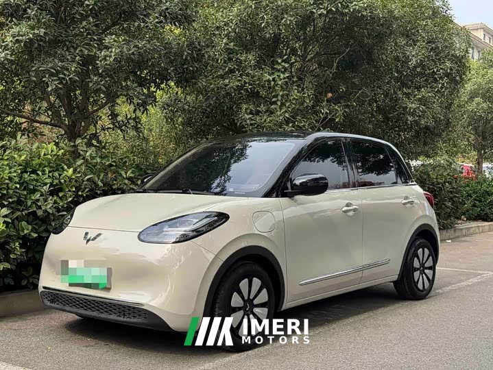 Wuling Binguo 333km Joy Edition
