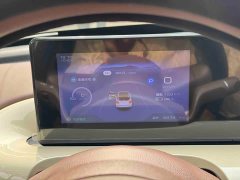 Wuling Binguo 333km Joy Edition - ფოტო 10