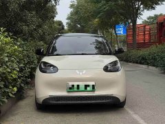 Wuling Binguo 333km Joy Edition - ფოტო 2