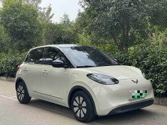 Wuling Binguo 333km Joy Edition - ფოტო 3