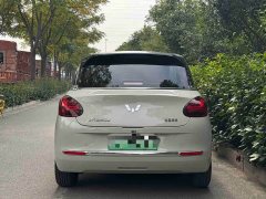 Wuling Binguo 333km Joy Edition - ფოტო 5