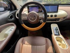 Wuling Binguo 333km Joy Edition - ფოტო 9