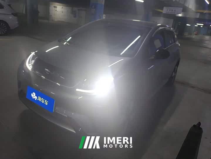 BYD Dolphin 420km Fashion Edition - car from China
